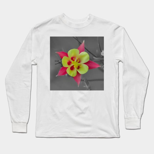 Vibrant Colorado Red and Yellow Columbine Long Sleeve T-Shirt by DesignMore21